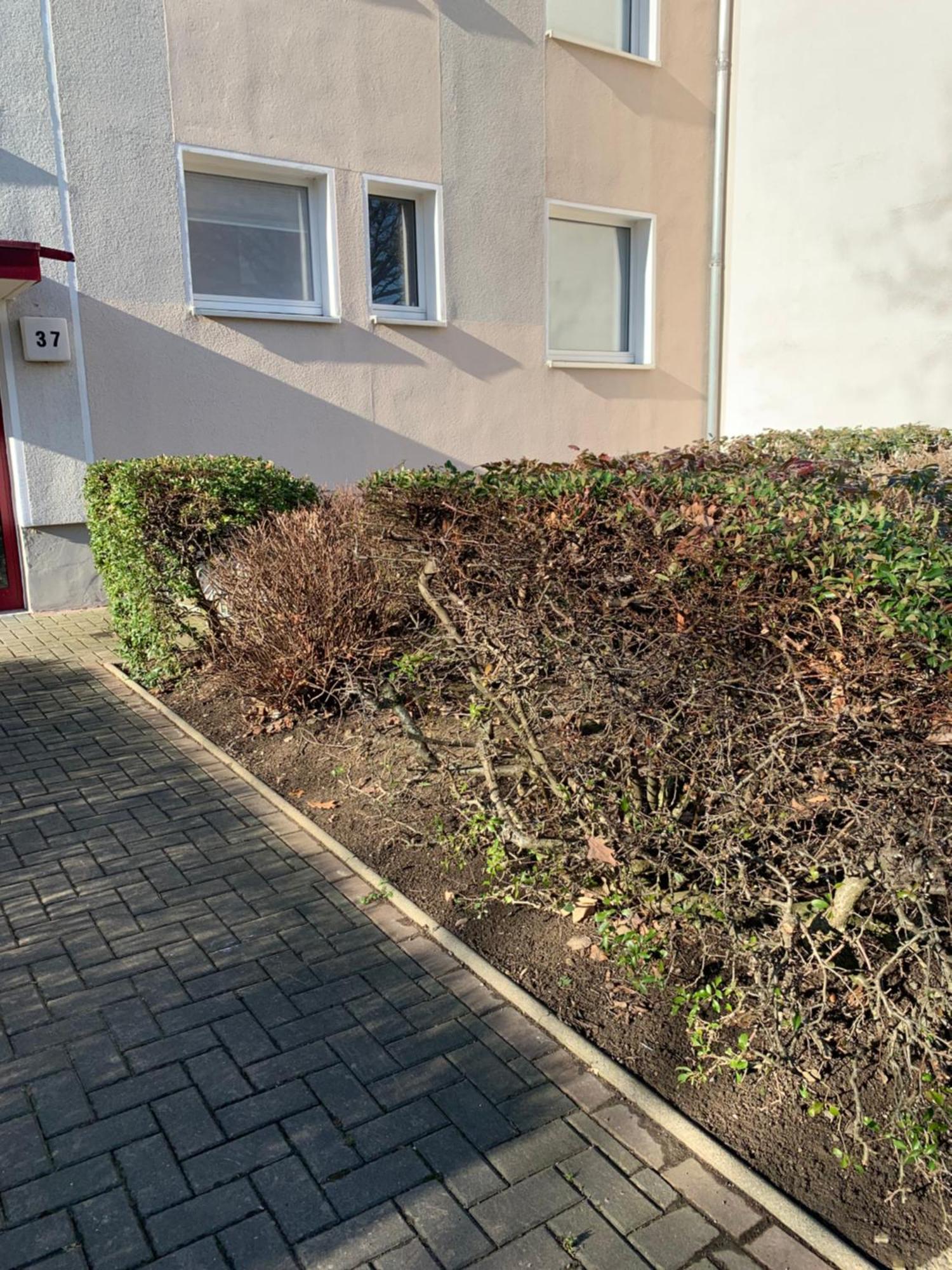Mycha Ferienwohnung Γκόσλαρ Εξωτερικό φωτογραφία